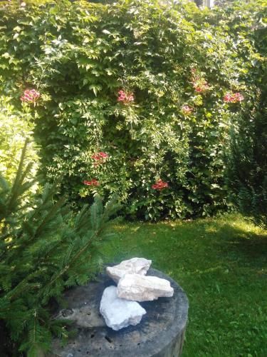 Outdoor Pictures 8