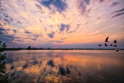Outdoor Pictures 20