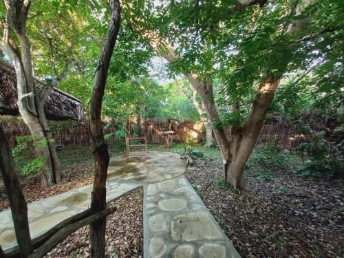 Outdoor Pictures 21