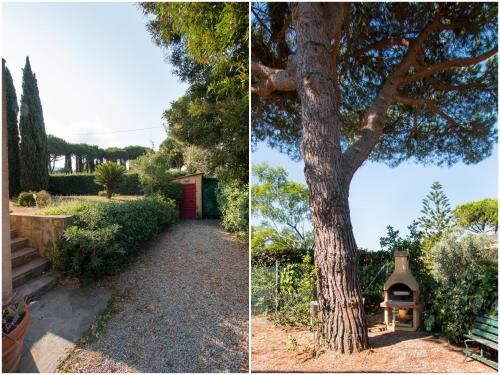 Outdoor Pictures 24