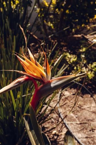 Outdoor Pictures 7