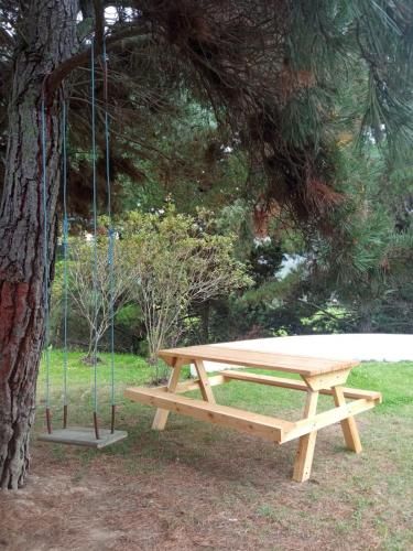 Outdoor Pictures 8