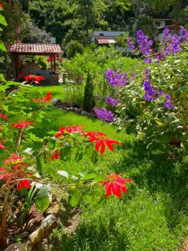 Outdoor Pictures 20