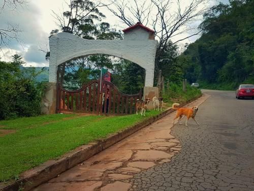 Outdoor Pictures 21