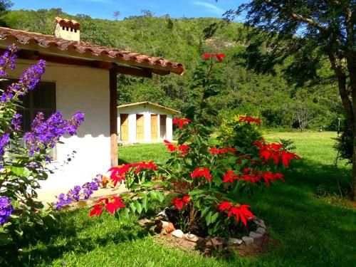 Outdoor Pictures 24