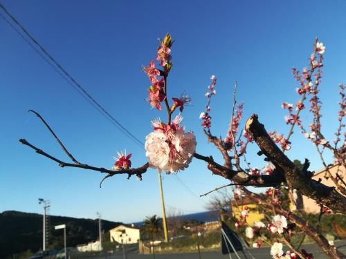 Outdoor Pictures 24