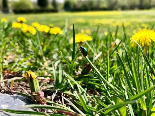 Outdoor Pictures 19