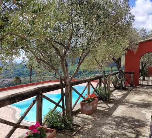 Agriturismo A casa di Anna braceria Carlo e Alessandro