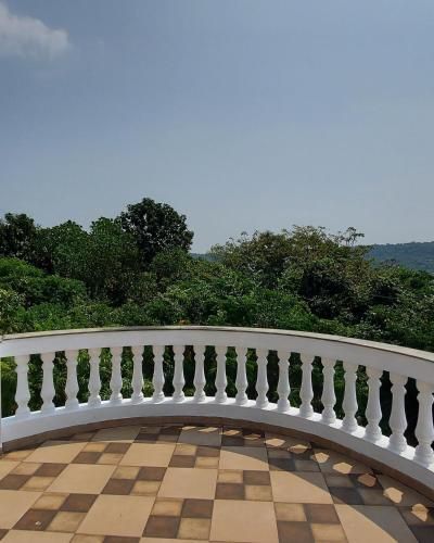Outdoor Pictures 3