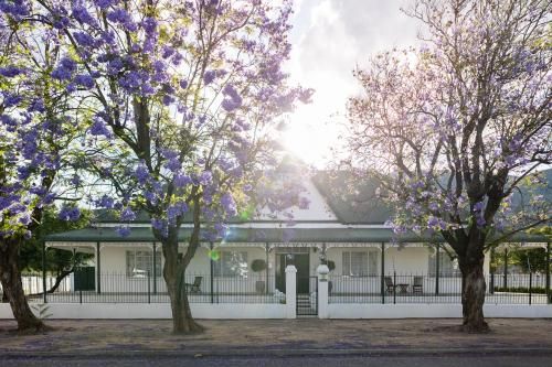 Victorian Square Guesthouse