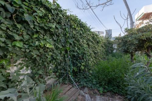 Outdoor Pictures 20