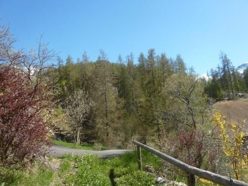 Outdoor Pictures 5