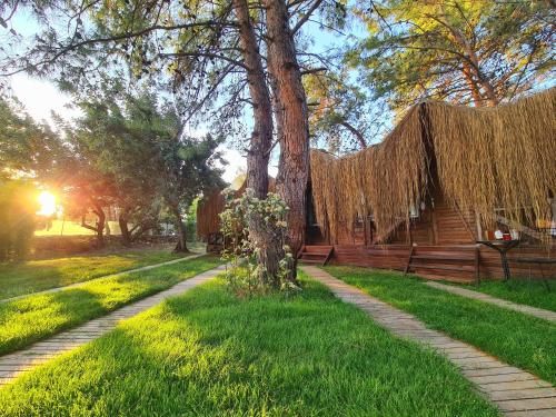 Outdoor Pictures 21