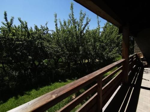 Outdoor Pictures 1