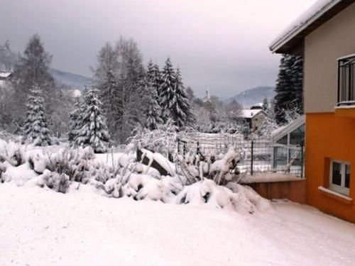 Outdoor Pictures 22