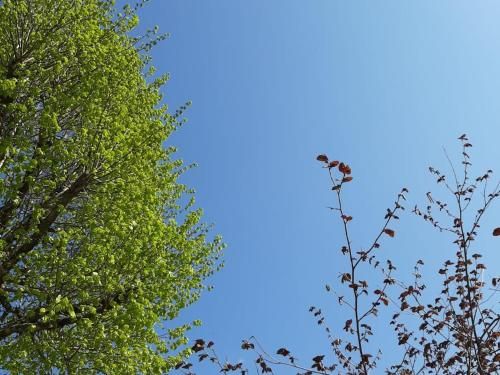 Outdoor Pictures 4
