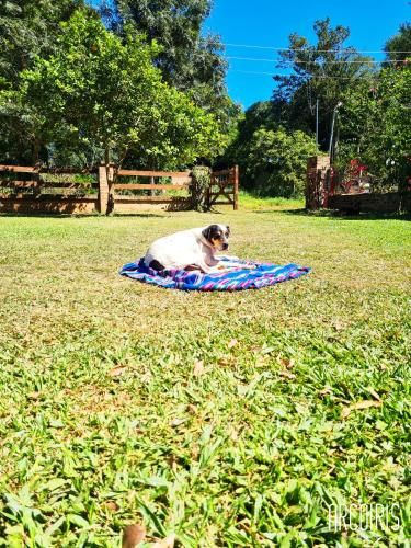 Outdoor Pictures 7