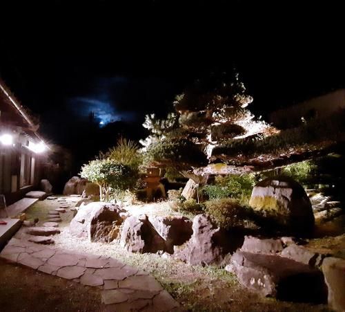 Outdoor Pictures 5