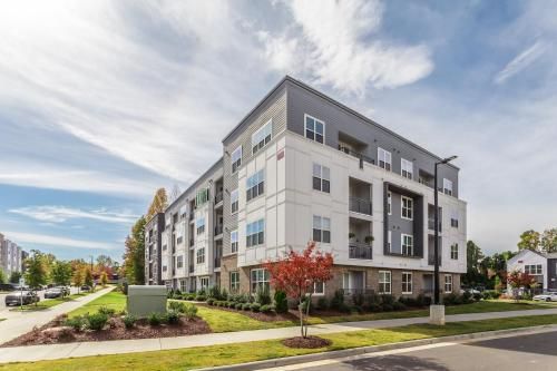 Kasa Charlotte FreeMoreWest