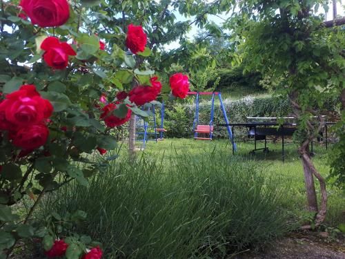 Outdoor Pictures 9