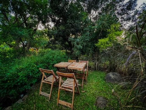 Outdoor Pictures 20