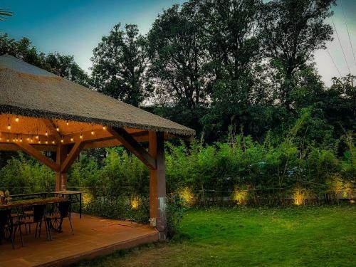 Outdoor Pictures 23