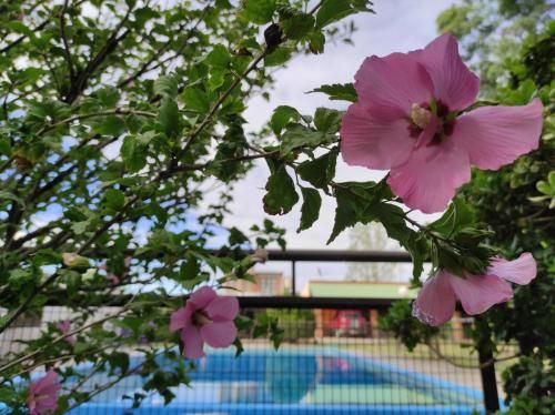 Outdoor Pictures 20