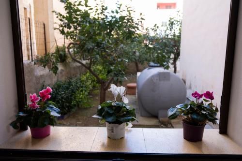 Outdoor Pictures 6