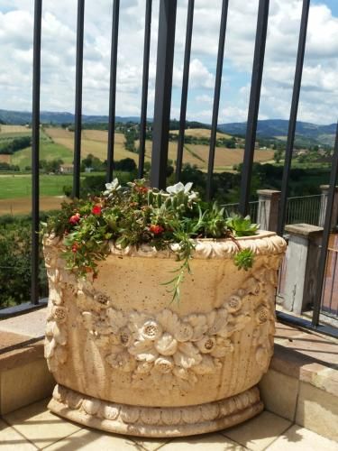 Outdoor Pictures 10