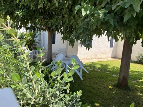 Outdoor Pictures 5