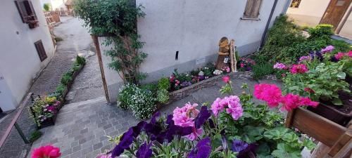 Outdoor Pictures 5