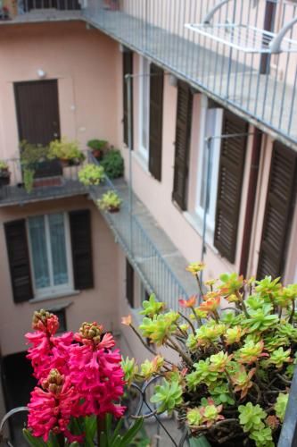 Outdoor Pictures 7