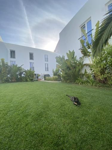 Haus (600 m²), 8 Schlafzimmer und 16 eigene Badezimmer in Faro