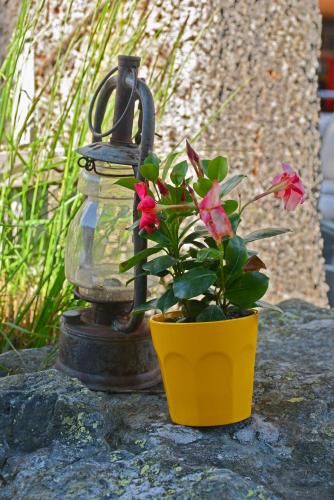 Outdoor Pictures 2