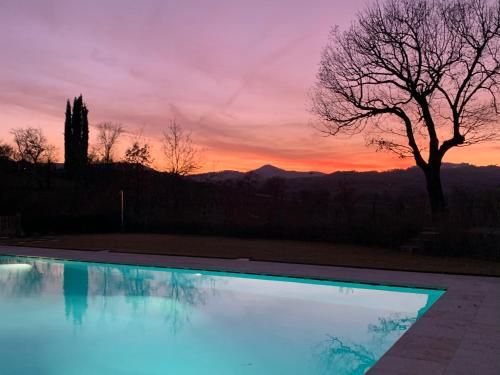 Outdoor Pictures 21