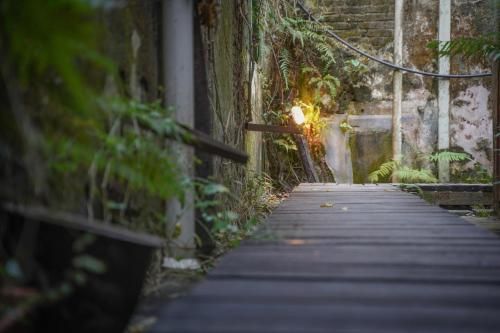 Outdoor Pictures 23
