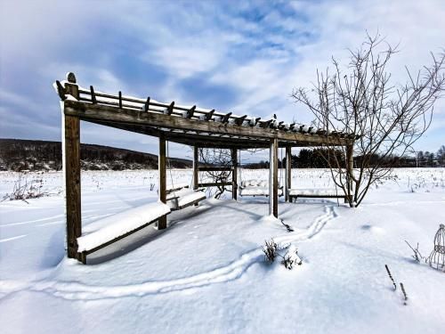 Outdoor Pictures 12