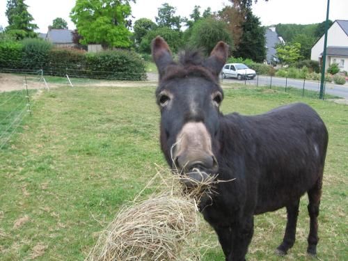 La Forge Hebergement