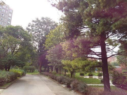 Outdoor Pictures 3