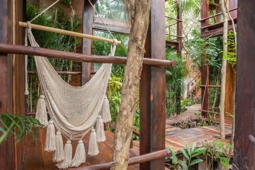 Outdoor Pictures 8
