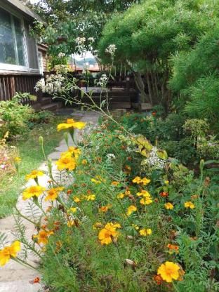 Outdoor Pictures 7