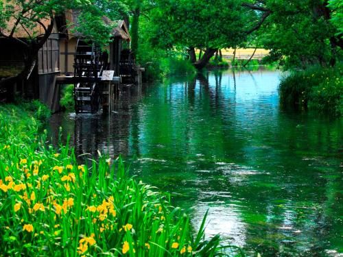 Outdoor Pictures 16