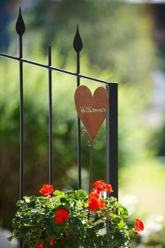 Outdoor Pictures 5