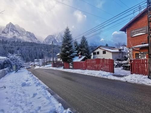 Outdoor Pictures 22