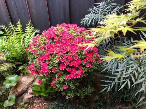 Outdoor Pictures 9