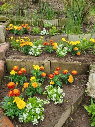 Outdoor Pictures 7