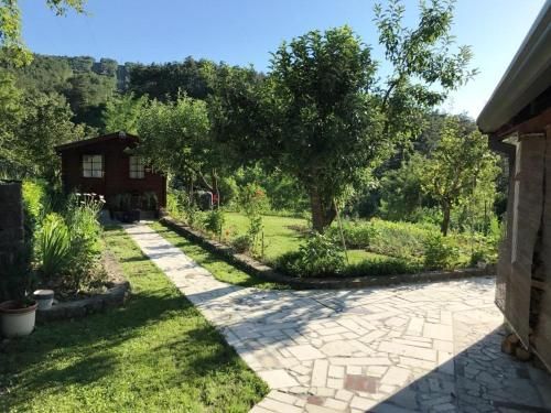Outdoor Pictures 1