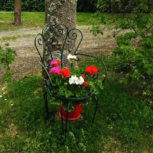 Outdoor Pictures 17
