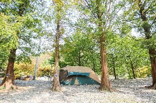 Outdoor Pictures 5