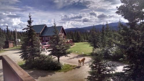 Alaskan Spruce Cabins